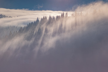 Carpathian mountains in the waves of fog