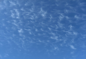 Delicate sky art image. White transparent Cirrocumulus cloud in blue sky. Australia.