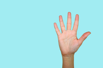 hand palm up isolated on blue background, put the subject