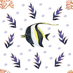 reef fish white with black stripes