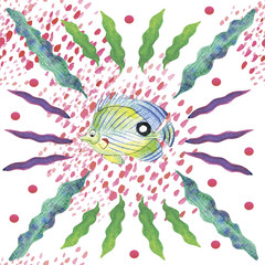 Reef fish in algae on a white background