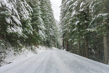 The Road To Paradise in Winter
