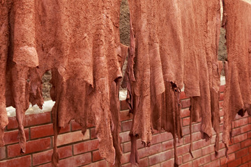 Leather drying on the ropes in old Tannery of Tetouan Medina. Northern Morocco.