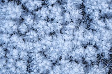 Snow texture. Natural winter background