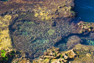 Colorful stones on the Mediterranean sea coast in the Beirut, Lebanon.