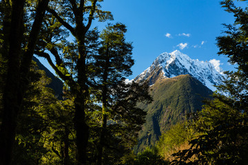 ニュージーランド　フィヨルドランド国立公園のザ・チャザム　The Chasm