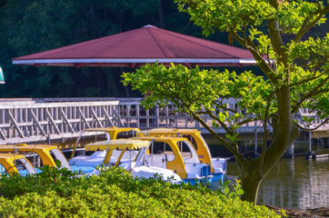  wooden dock and paddle boats on the lake