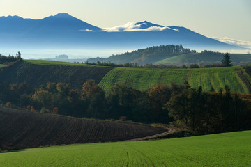 Obraz premium Landscape