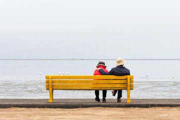 Rear view of romantic senior couple sitting and relaxing on a bench looking at a lake and enjoy view of downtown.