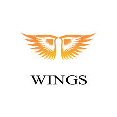 wings logo design and ilustration template.