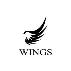 wings logo design and ilustration template.