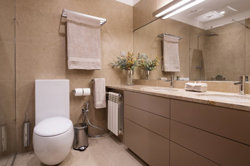Bathroom and toilet simple interior design, brown colours