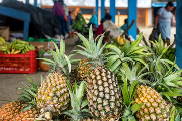 Pineapples for sale in a market in a remote village town deep in the Amazon jungle in Peru