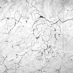 Black and white texture background wall of caraked soil house.