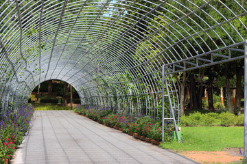 pathway with trees tunnel in garden park.
