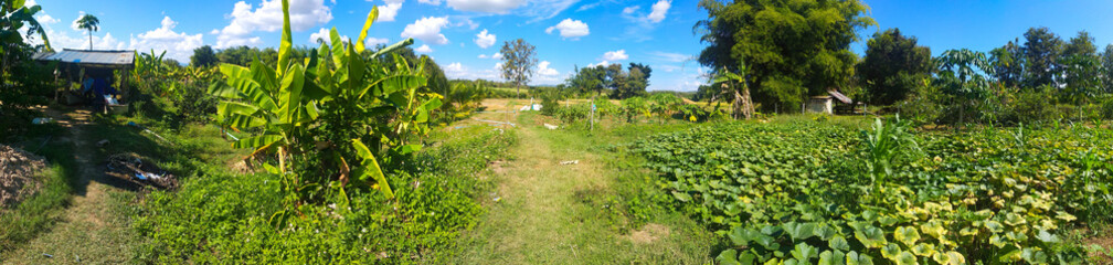 panorama สวนสวยๆ