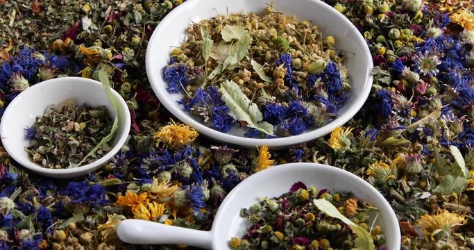 Various herbal tea. Top view. Rotate