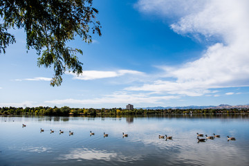 A view of a lake in the middle of Denver