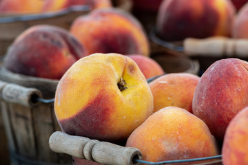 Close up of baskets of peaches at a local farmers market