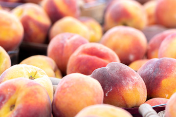 Close up image of peaches on a table at a local farmers market