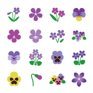 すみれ　スミレ　パンジー　アイコン