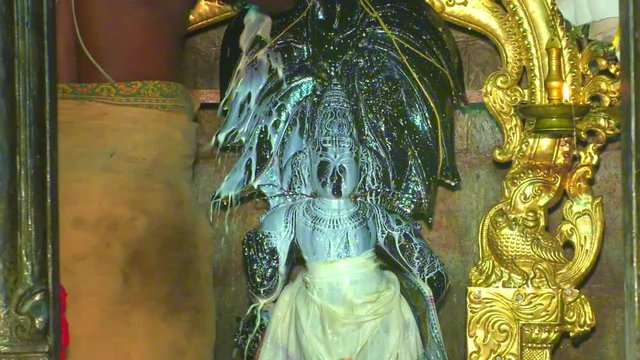 priest performs the "Abhishekam" by pouring milk on the deity of Lord Murugan the Hindu goddess