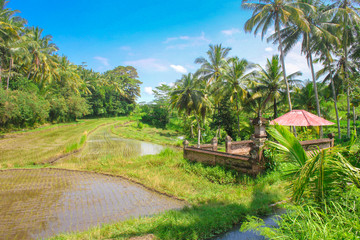 Fototapeta premium Beautiful view of Batur Lake and Batur Mountain at Kintamani, Bangli, Bali with Forest and Blue Sky