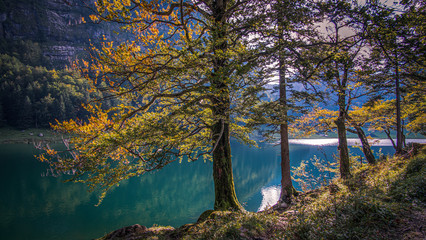 Alpine lake in Switzerland surrounded by Alps