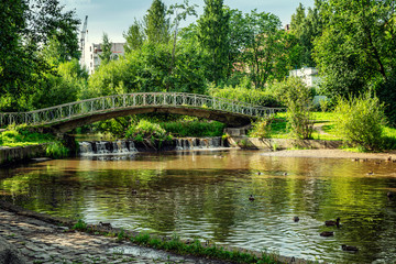 Fototapeta na wymiar Beautiful city park with floating ducks and a bridge on a bright sunny day.