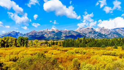 Fototapeta na wymiar Fall Colors surrounding the Cloud covered Peaks of the Grand Tetons In Grand Tetons National Park. Viewed from Black Ponds Overlook near Jackson Hole, Wyoming, United States