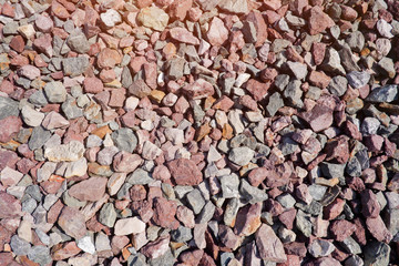 Close up of nature view in the nature place.