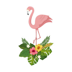flamingo pink animal with flowers and leafs vector illustration design