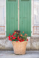 une fenêtre et des voleyts verts avec des fleurs rouges