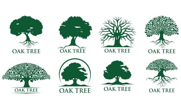 Collection green Creative Oak Tree Logo Design Symbol Illustration