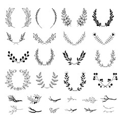 Handdrawn laurels and wreaths. Decorative floral elements. Leaves and branches