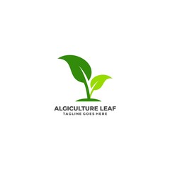 Leaf Illustration Vector Template