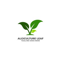 Leaf Illustration Vector Template
