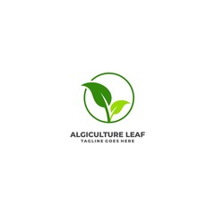 Leaf Illustration Vector Template