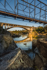 Old bridges and a duck