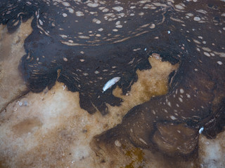 feather in the salt lake, natural pattern, natural design