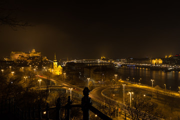 Budapest, Hungary - night city panorama 