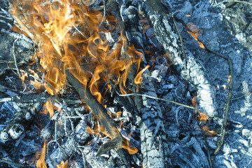 Fire and ash. Campfire for barbecue in summer hot day