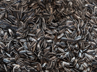 Organic sunflower seed. Texture or background concept