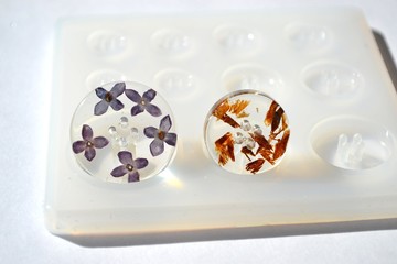 Dried flowers in epoxy resin buttons. Silicone mold isolated on white background. 