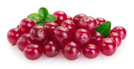 Fresh cranberry isolated on white background