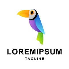 colorful bird logo design vector