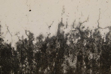 abstract,Texture of old concrete wall,Grey Cement textured abstract background,old wall with lichen,Dirty white wall background, close up moss texture on cement wall