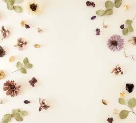 Flowers background. Composition from dried flowers and eucalyptus leaves pattern on white backdrop.Top view, flat lay. Copy space. Minimal floral card