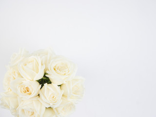 Obraz na płótnie Canvas White roses isolated on white background
