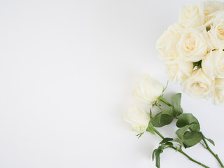 Obraz na płótnie Canvas White roses isolated on white background